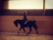 Equestrian Jobseeker Profile Photo