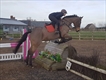Equestrian Jobseeker Profile Photo