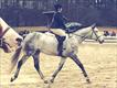 Equestrian Jobseeker Profile Photo