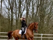 Equestrian Employer Profile Photo