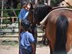Equestrian Employer Profile Photo