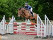 Equestrian Jobseeker Profile Photo