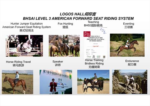 Equestrian Jobseeker Photo: