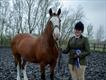 Equestrian Jobseeker Profile Photo