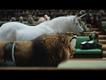 Equestrian Employer Profile Photo