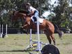 Equestrian Jobseeker Profile Photo