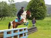 Equestrian Jobseeker Profile Photo