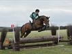 Equestrian Jobseeker Profile Photo