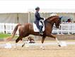 Equestrian Employer Profile Photo