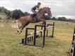 Equestrian Jobseeker Profile Photo