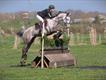 Equestrian Jobseeker Profile Photo