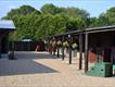 Equestrian Employer Profile Photo