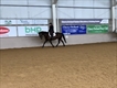 Equestrian Jobseeker Profile Photo