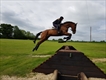 Equestrian Employer Profile Photo
