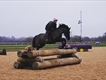 Equestrian Jobseeker Profile Photo