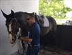 Equestrian Jobseeker Profile Photo