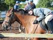 Equestrian Jobseeker Profile Photo