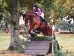 Equestrian Jobseeker Profile Photo