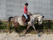 Equestrian Jobseeker Profile Photo
