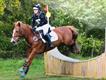 Equestrian Jobseeker Profile Photo