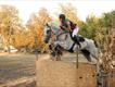 Equestrian Jobseeker Profile Photo