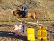 Equestrian Jobseeker Profile Photo