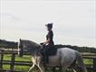 Equestrian Jobseeker Profile Photo
