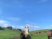 Equestrian Jobseeker Profile Photo