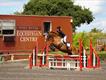 Equestrian Jobseeker Profile Photo