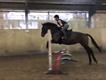 Equestrian Jobseeker Profile Photo