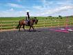 Equestrian Jobseeker Profile Photo