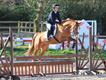 Equestrian Jobseeker Profile Photo