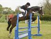 Equestrian Jobseeker Profile Photo