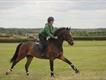 Equestrian Jobseeker Profile Photo