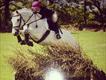 Equestrian Jobseeker Profile Photo