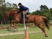 Equestrian Jobseeker Profile Photo