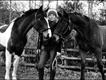 Equestrian Jobseeker Profile Photo