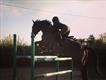 Equestrian Jobseeker Profile Photo