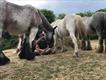Equestrian Jobseeker Profile Photo