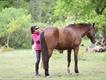 Equestrian Jobseeker Profile Photo
