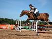 Equestrian Jobseeker Profile Photo