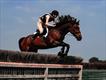 Equestrian Jobseeker Profile Photo