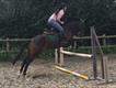 Equestrian Jobseeker Profile Photo