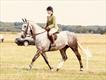 Equestrian Jobseeker Profile Photo