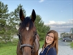 Equestrian Jobseeker Profile Photo