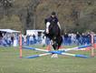 Equestrian Jobseeker Profile Photo