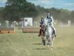 Equestrian Jobseeker Profile Photo