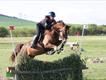 Equestrian Jobseeker Profile Photo