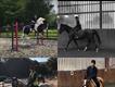 Equestrian Jobseeker Profile Photo