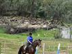 Equestrian Jobseeker Profile Photo